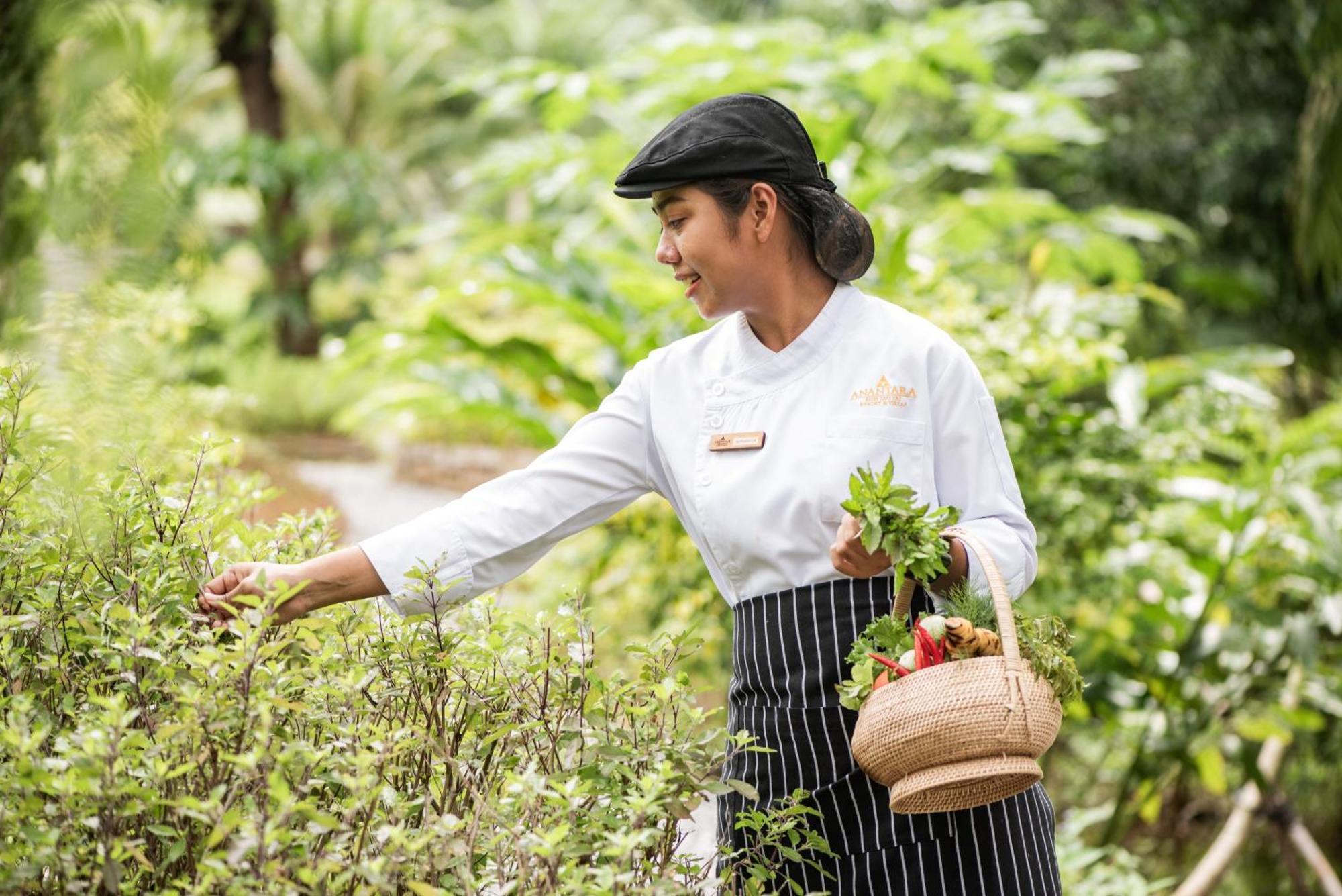 Anantara Koh Yao Yai Resort & Villas Ko Yao Eksteriør bilde